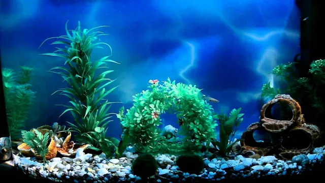 how to aquarium background