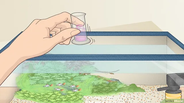 how to aquarium cleaning bacteria