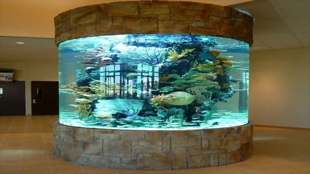 How to Aquarium Decoration: Tips and Ideas for Stunning Underwater Scenery