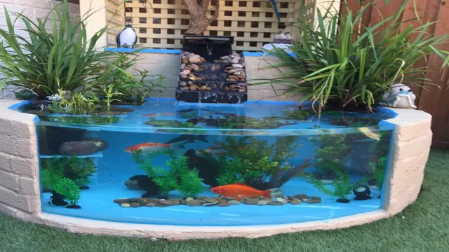 how to aquarium decorations outside
