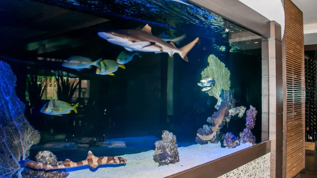how to aquarium fishing resort