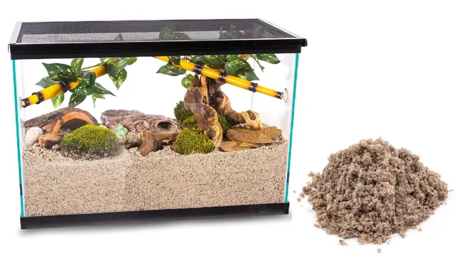 How to Aquarium Sand Cap: A Step-by-Step Guide to Successful Substrate Installation