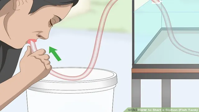 how to aquarium siphon
