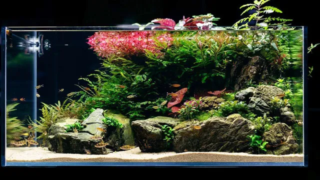 how to aquascape planted aquarium