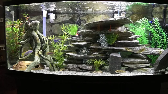 how to aquascape your aquarium