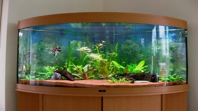 how to arrange aquarium