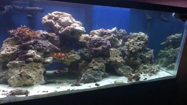 how to arrange rocks in a saltwater aquarium