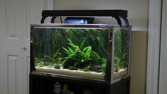 how to assemble a 20 gallon aquarium