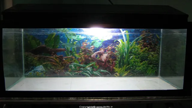 how to assemble an aquarium tank