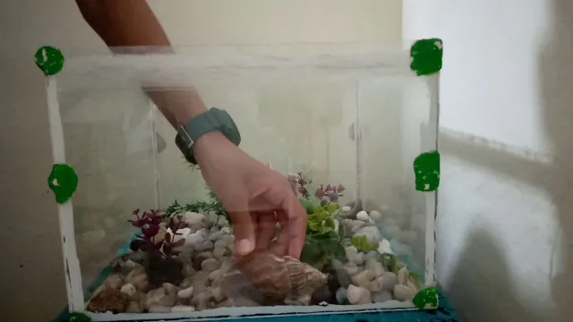 how to assemble aquarium