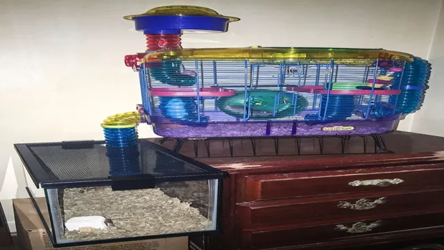 How to Attach a Hamster Wheel to an Aquarium: A Comprehensive Guide