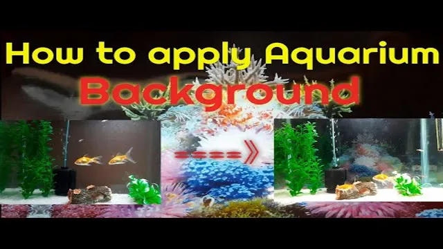 how to attach an aquarium backgroung