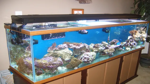 how to attach coralife aquarium light to ceiling