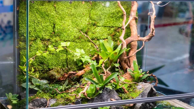 How to Attach Driftwood Together Aquarium: A Step-by-Step Guide for Stunning Displays