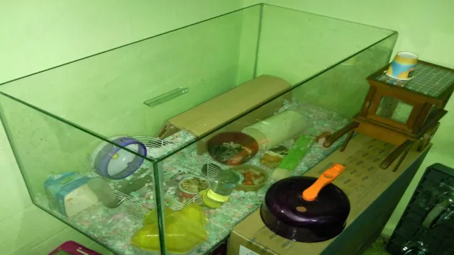 How to Attach Hamster Water to Aquarium: A Step-by-Step Guide