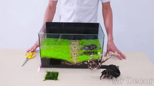 how to attach moss to aquarium log
