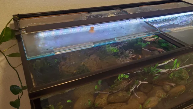 how to attach plexiglass to aquarium