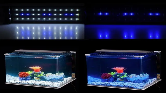 how to auto set white and blue aquarium light