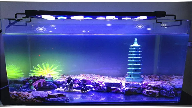 How to Auto Set White and Blue Aquarium Light: A Beginner’s Guide