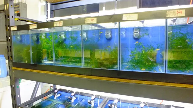 how to automate your aquarium