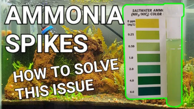 How to Avoid Ammonia Spike in Aquarium: The Ultimate Guide for Fishkeepers