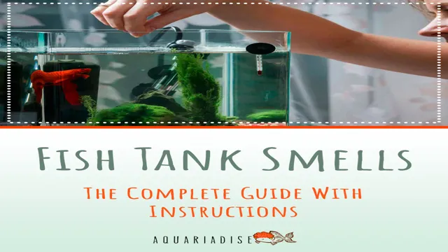 how to avoid aquarium smell