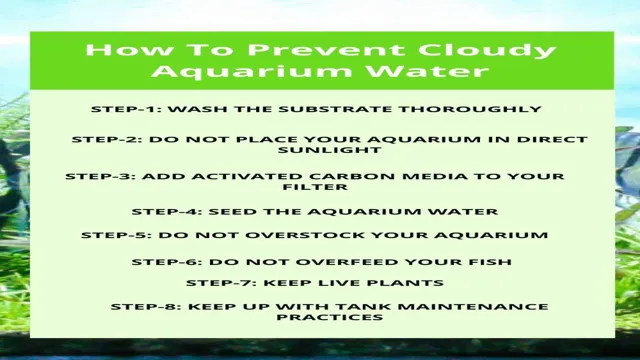 how to avoid cloudy water in aquarium
