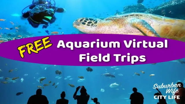 how to avoid fieldtrips aquarium