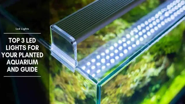 How to Avoid Water into LED Aquarium Lights: Tips and Tricks