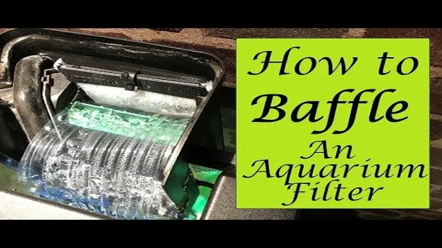 How to Baffle an Aquarium Filter for Improved Water Quality: Tips and ...