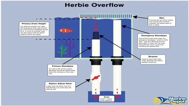 How to Balance Air Flow in Two Aquariums: Tips and Tricks for Optimal Oxygenation