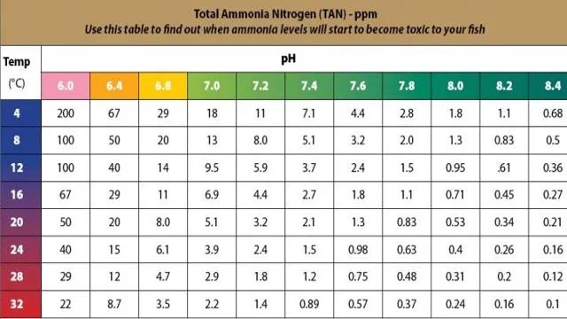 How to Balance Ammonia in Aquarium: Tips and Tricks.