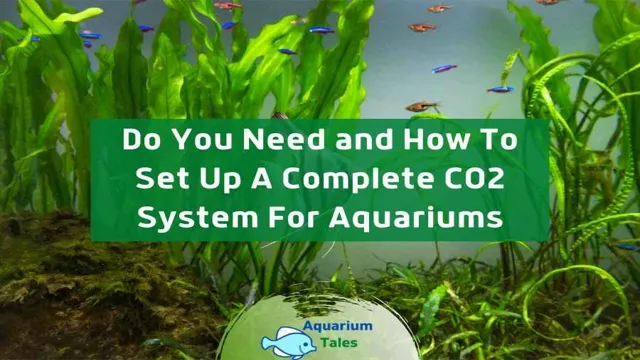 How to Balance CO2 and Oxygen in Aquarium: Tips and Tricks for Optimal Maintenance