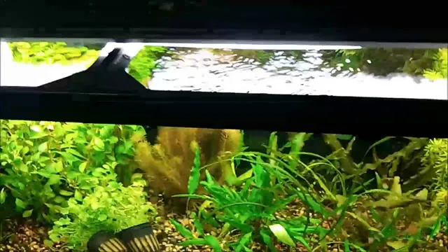 how to balance light and co2 in aquarium