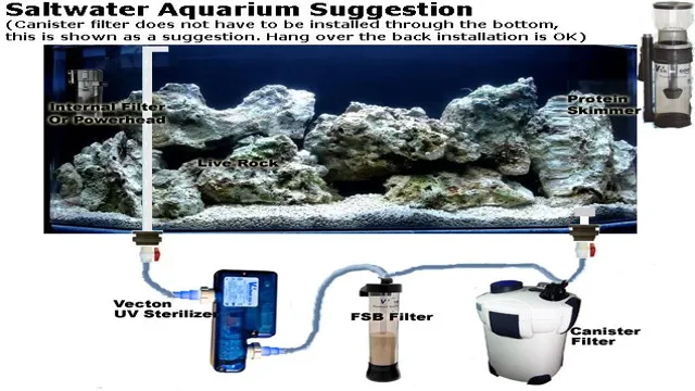 how to balance light and nutrients aquarium