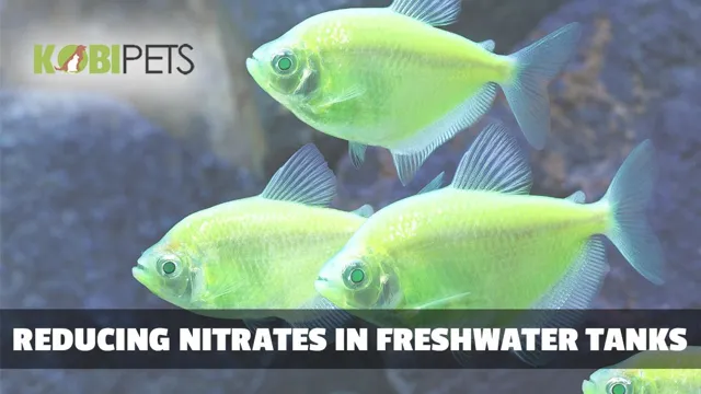 how to balance nitrate in aquarium