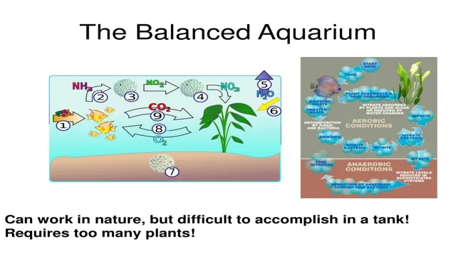 how to balance water in aquarium
