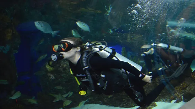 How to Be a Diver at Ripley’s Aquarium: Tips and Tricks for First-Timers