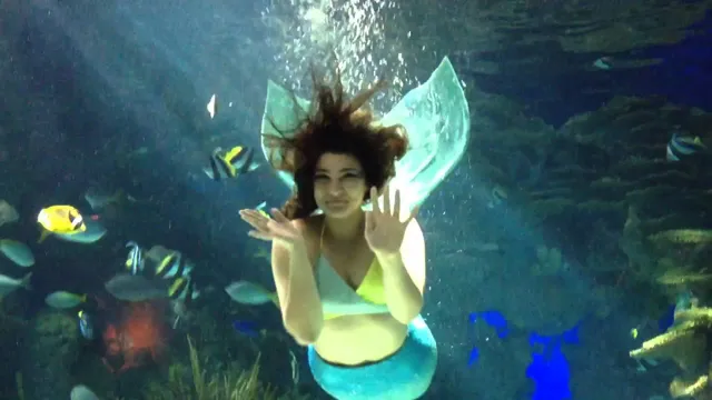 how to be a mermaid at ripley's aquarium