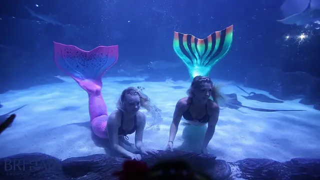 How to Be a Mermaid at Ripley’s Aquarium: Tips and Tricks for Living Your Underwater Fantasy