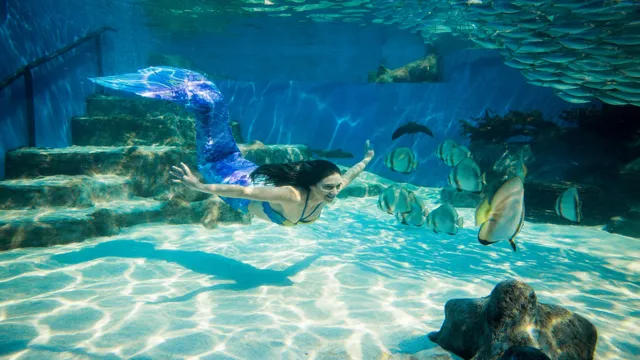 How to Be a Mermaid in an Aquarium: A Step-by-Step Guide to Transforming into a Sea Siren