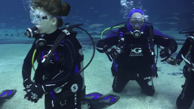 how to be a scubadiver in an aquarium