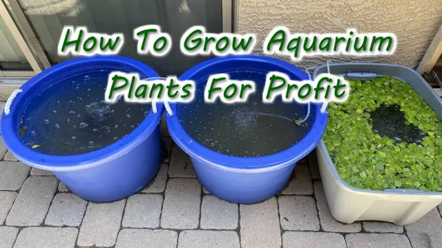 how to beat grow aquarium