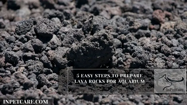 How to Beat Lava Rock in Half for Aquarium: A Step-by-Step Guide