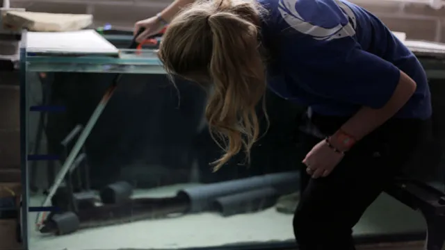 how to become a biologist at a aquarium