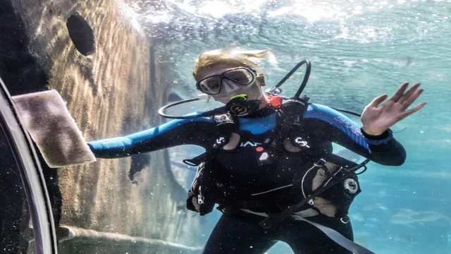 how to become a diver at an aquarium