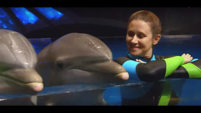 How to Become a Dolphin Trainer at Georgia Aquarium: Step-by-Step Guide