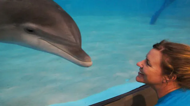 How to Become an Animal Trainer at an Aquarium: Tips and Tricks for Starting Your Dream Career