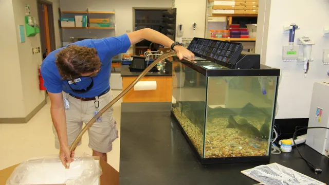 how to become an aquarium curator