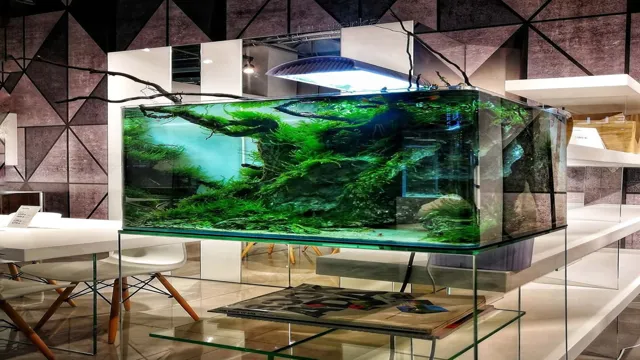 How to Become an Aquarium Designer: Tips and Tricks for Creating Stunning Underwater Worlds